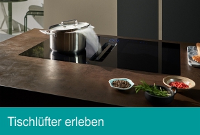 Siemens studioLine Tischlüfter 