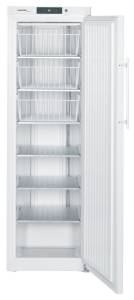 Liebherr GG 4010-40 ProfiLine Gewerbe 190 x 59.7 cm weiß Gefriergerät mit statischer Kühlung