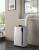 DeLonghi PAC EL92 Pinguino