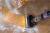 BISSELL CrossWave OmniForce EdgeFind Pro