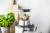 Gastroback Design Multi Juicer Digital Plus 40152
