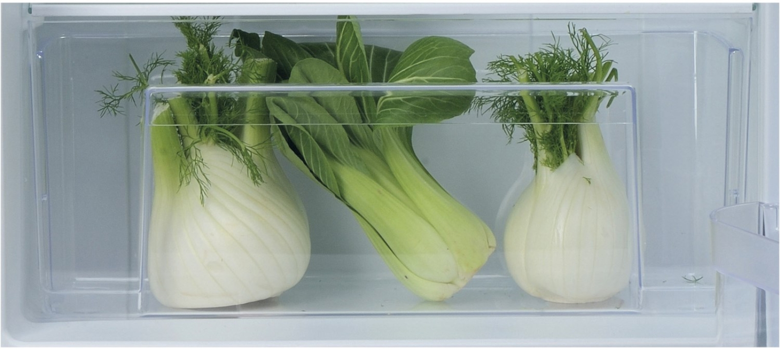 Bauknecht KSI 9 GF 2 E