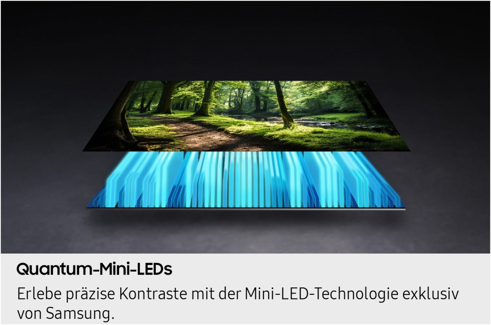 Samsung GQ 55 QN 73 FAT Xklusiv